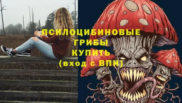 спиды Магадан